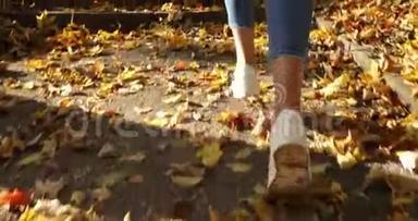 秋天公园里的女跑步者。 穿着慢跑服`女人的腿部特写镜头，穿着覆盖着脚步的短裤奔跑